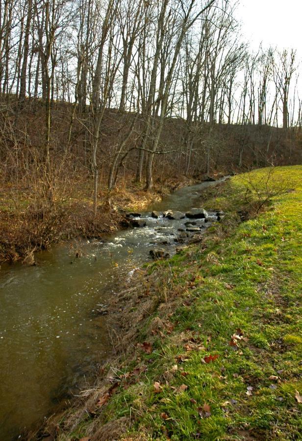 Willa Walnut Run Farm Woodville Zewnętrze zdjęcie